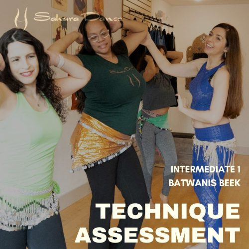 Technique Assessment: Intermediate 1 (Batwanis Beek)
