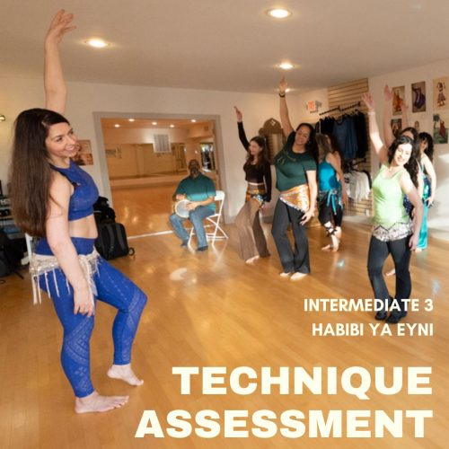 Technique Assessment: Intermediate 3 (Habibi Ya Eyni)