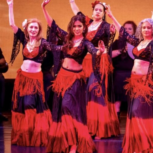 Flamenco Fusion Performance